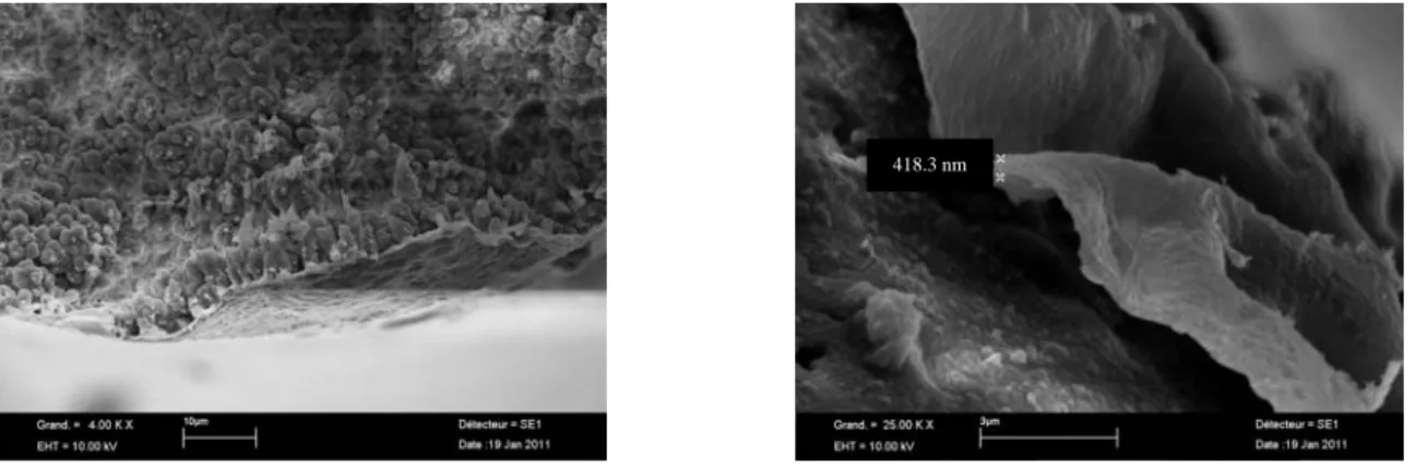 Figure 1. SEM images of the surface of the membrane surrounding the PVC particles obtained in microchannel (a) SEM measure of the  membrane’s thickness (b)