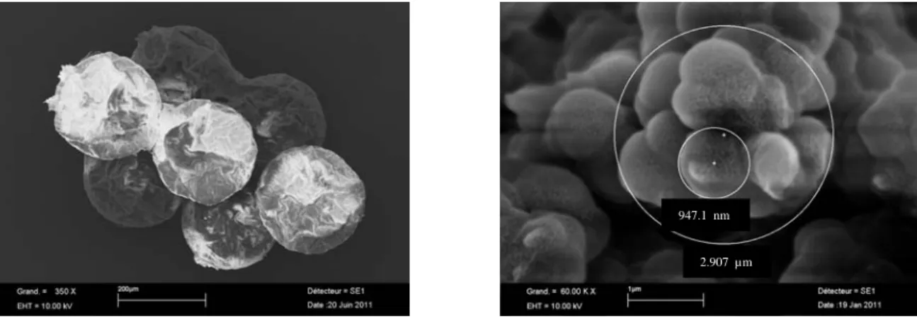 Figure 6.  PVC grains recovered from the microreactor at the end of the reaction (a), cross-section of a PVC grain from the microreactor at  the end of the reaction (b)