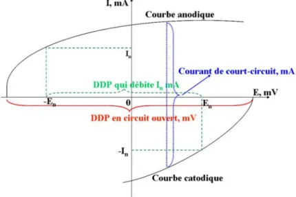 Figure 14. Courbes intensité-potentiel de l’anode et la cathode d’une PACM.  