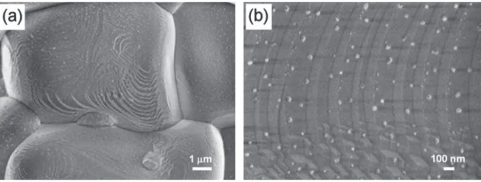 Fig. 4 shows the Raman spectra of polycrystalline Fe-doped Al 2 O 3 ceramic substrate before and after the CCVD process.