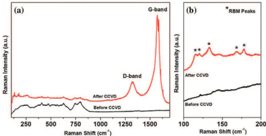 Fig. 4 – (a) Raman spectra of Fe-doped Al 2 O 3 ceramic substrate before and after CCVD