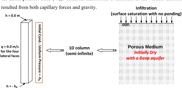 Fig. 4.3: Initial and boundary conditions used in the infiltration test for the different soils