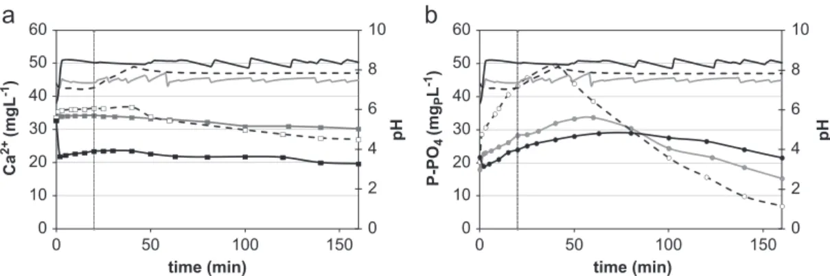 Fig. 3. Kinetic tests in biological reactor at different pH (a) calcium and pH; and (b) phosphorus and pH