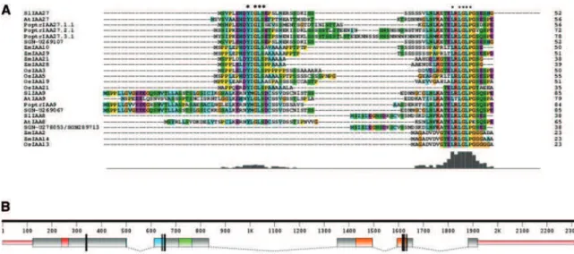 Fig. 1 Structural features of the Sl-IAA27 gene and derived protein. (A) Multiple sequence alignment of the N-terminal part of Aux/IAA proteins belonging to clade B from tomato, Arabidopsis, maize, rice, potato and poplar obtained with ClustalX and manual 