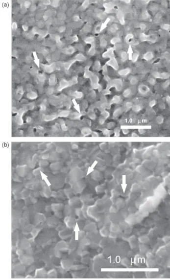 Fig. 5. SEM images from the surfaces of the nc-Y 2 O 3 specimens deformed in air at constant strain-rate of 5 × 10 −6 s −1 : (a) deformed at 1050 ◦ C and 120 MPa to 7% strain