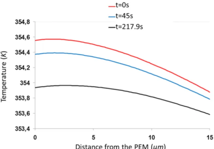 Fig. 10 e Temperature profile through the thickness of the CCL at different time steps, obtained using PSD 1 and a 20%