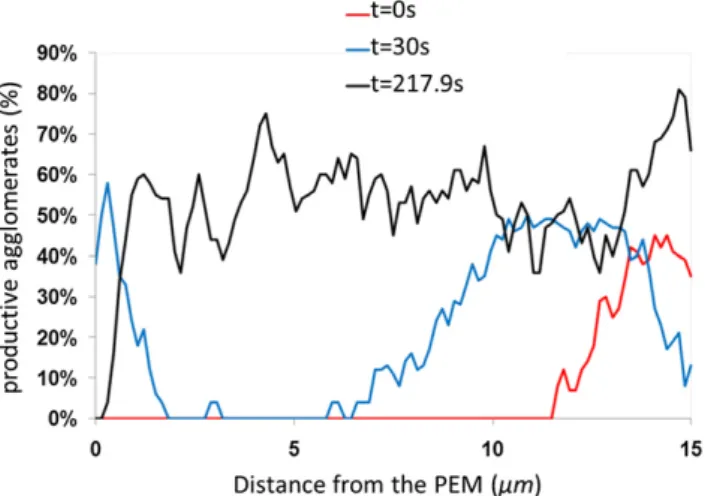 Fig. 8 e Liquid water saturation profile through the thickness of the CCL for a 20% hydrophilic CCL at different time steps.