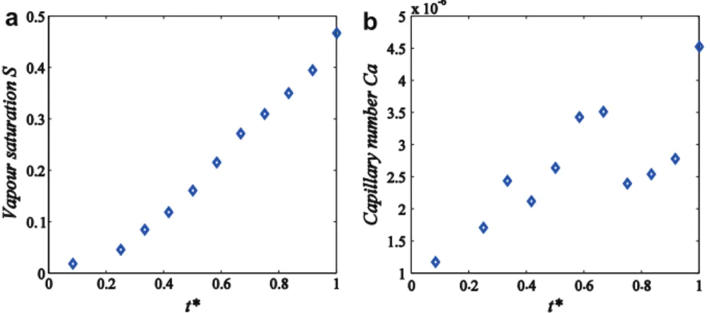 Fig. 9. Evolution of vapour saturation (a) and capillary numbers (b) during the invasion (high temperature gradient experiment).
