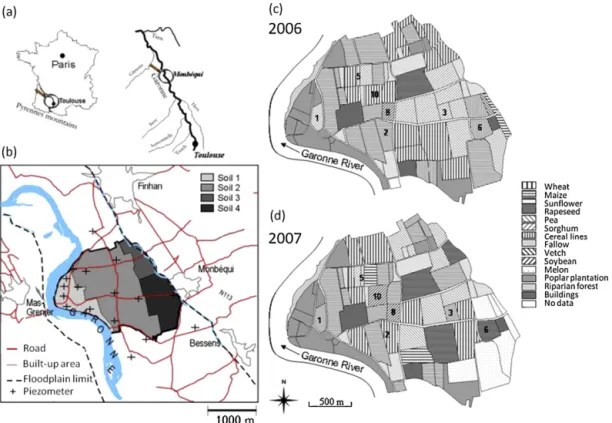 Fig. 1. Map of the study area showing (a) the location of the study area, (b) the ﬂoodplain limit, the four soil types deﬁned and the piezometer locations, and (c) 2006 and (d) 2007 land use and locations of the monitored ﬁelds (indicated by numbers).