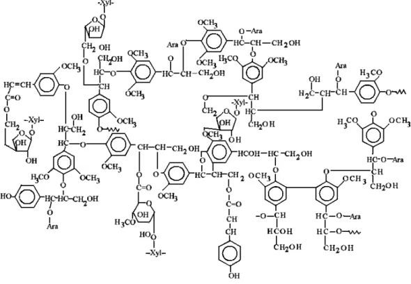 Figure 1.11 Exemple de structure de la lignine de la paille de blé  (Sun et al., 1998)