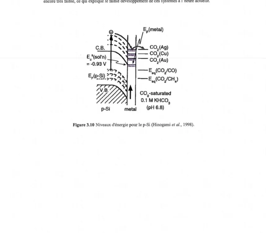 Figure 3.10  Niveaux d'énergie pour le p-Si (Hinogami et al. ,  1998). 