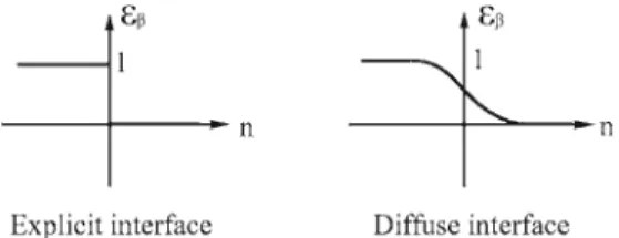 Figure 1 illustrates the exact interface for a solid–liquid dissolution problem. In the case of the binary system under investigation, the species concentration equals to an equilibrium value at the interface