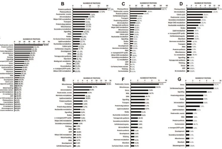 Figure 8. Number and percentage of proteins in the MapMan functional classes for seven patterns of abundance