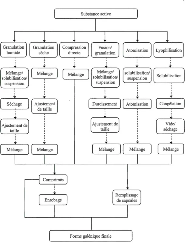 Figure  1.1  Processus  communs  pour  la  préparation  des  formes  galéniques  solides