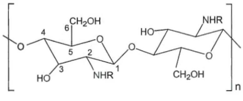 Figure 3.3 : Structure chimique de la chitine et du chitosane . R = Hou COCH 3 . 