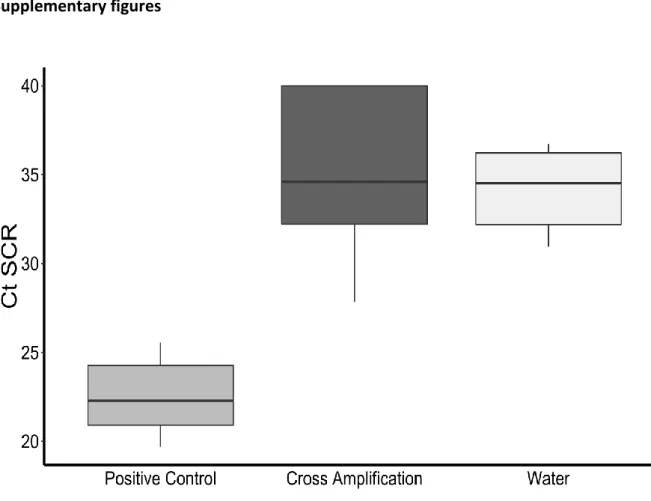 Figure S1. Validation of the SCR qPCR primers. “Positive control” corresponds to amplification  with the Master Mix containing primers for SCR alleles that are present in the cDNA used