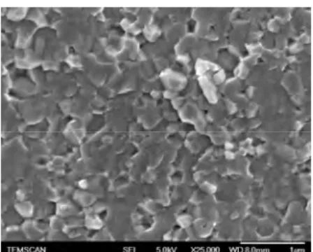 Fig 1. SEM FEG picture of the BT powder obtained  by coprecipitation &amp; calcination 
