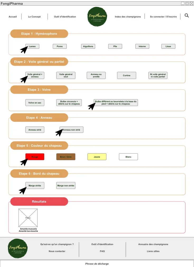 Figure 12 Exemple d'identification de l'amanite tue-mouche 