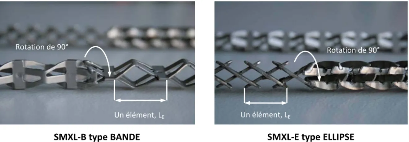 Figure II- 7 : Présentation des deux designs de SMXL utilisés. Figure à gauche SMXL-B, figure à droite SMXL-E 