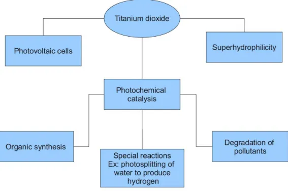 Figure 1.1: Photo-induced processes on Titanium dioxide. Figure adapted from [1].