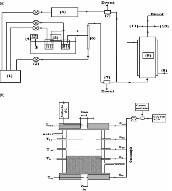 Figure 1 | (a) Scheme illustration for the experimental set-up of adsorption/ozonation