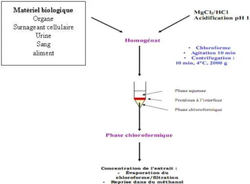Figure 45 : Schéma de l’extraction des mycotoxines à partir de matériel biologique 