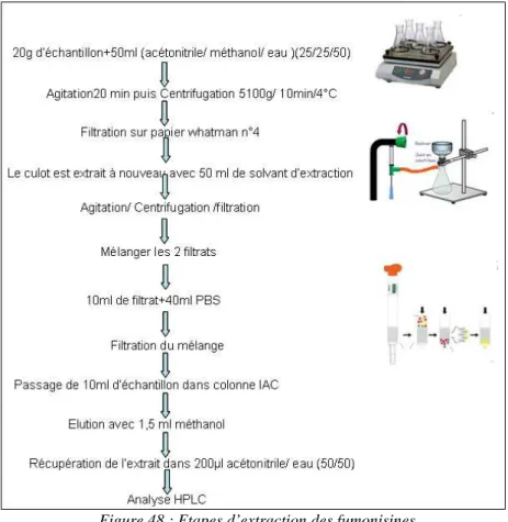 Figure 48 : Etapes d’extraction des fumonisines  Principe des techniques immuno-chimiques et description des méthodes utilisées 