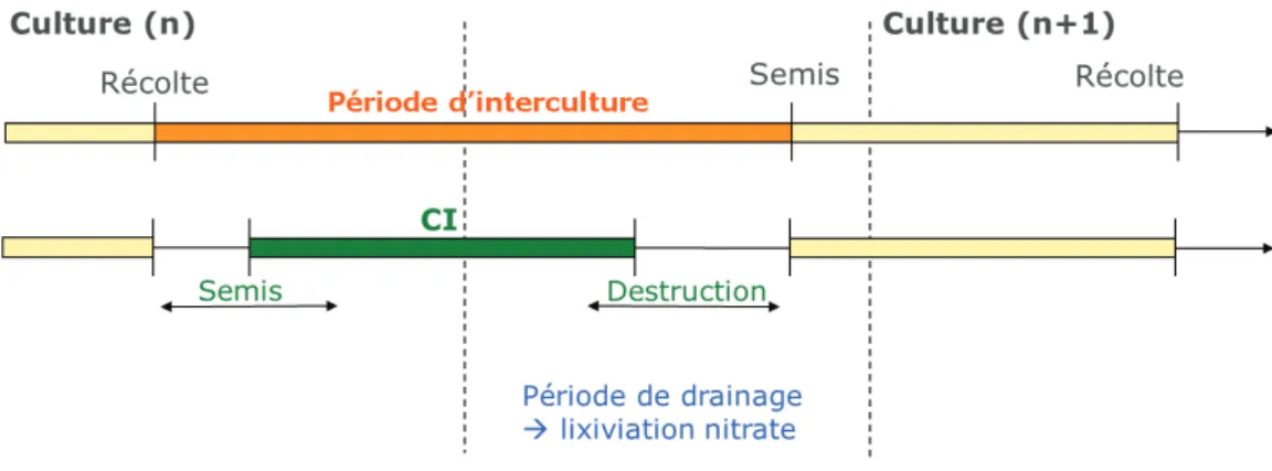 Figure 1-3. Représentation schématique de l’interculture dans une succession de cultures annuelles (en haut)   et de l’implantation de culture intermédiaire durant cette période (en bas)