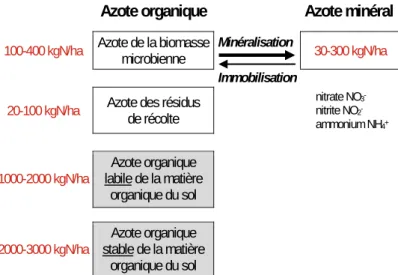 Figure 5. Compartiments de l'azote dans le sol (d'après Corpen, 1993)  Les valeurs en rouge indiquent des quantités de N/ha dans le sol.