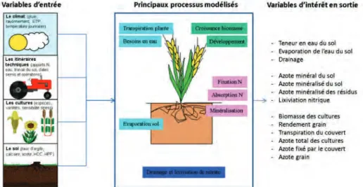 Figure 11. Représentation schématique des données d’entrée du modèle STICS,   des principaux processus simulés et des variables de sortie d’intérêt pour l’étude  Qualité prédictive et domaine de validité de STICS 