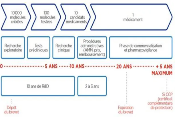 Figure 1 : De la genèse à la commercialisation d'un médicament. [7] 