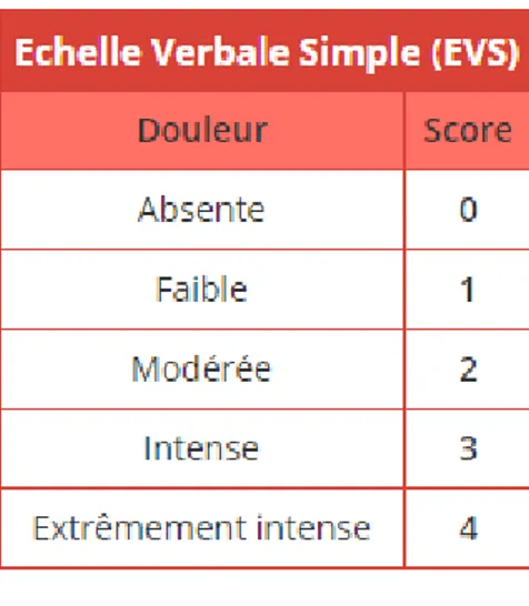 Figure 4 : Echelle verbale simple. [30] 