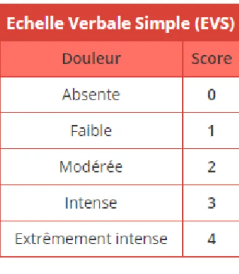 Figure 4 : Echelle verbale simple. [30] 