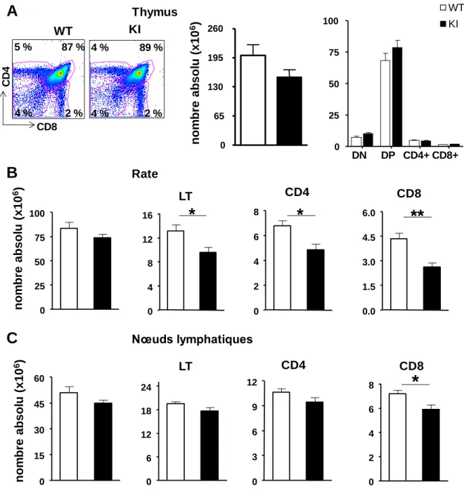 Fig. 8 : Impact de la mutation sur les populations lymphocytaires T chez les souris KI Vav1 R63W  comparé  aux souris WT