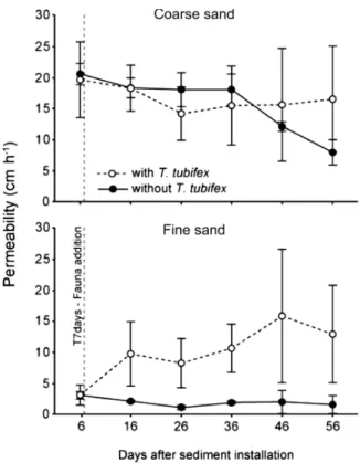 Figure 3. Eﬀect of T. tubifex on hydraulic conductivity measured  every 10 days in sediment columns covered by coarse sand or fine  sand.