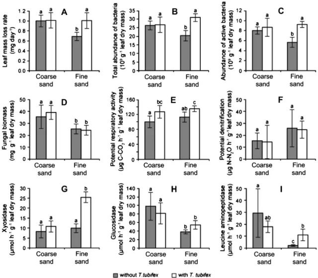 Figure 5. Eﬀect of T. tubifex on leaf mass loss rate (A), and microbial characteristics measured at the end of the experiment on leaves buried  at 9 cm depth in sediment columns covered by coarse sand or fine sand: total abundance of bacteria (B), abundanc