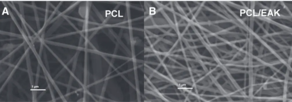 Fig. 2. Contact angle images of two of the scaffolds investigated.