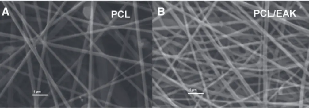 Fig. 2. Contact angle images of two of the scaffolds investigated.