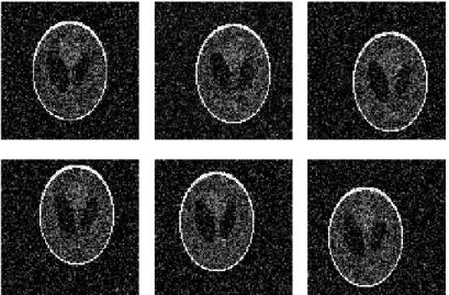 Figure 6.2: A typical simulation run for J = 6 images generated from the model (6.1).