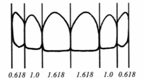 Figure 4: proportion d’or des six dents antérieures (d’après Lombardi et al.[36]) 