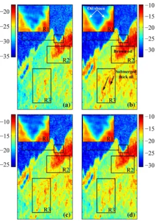 Fig. 10. Oil-slick property/type recognition using the degree of depolarization (dB) in dual-pol SAR