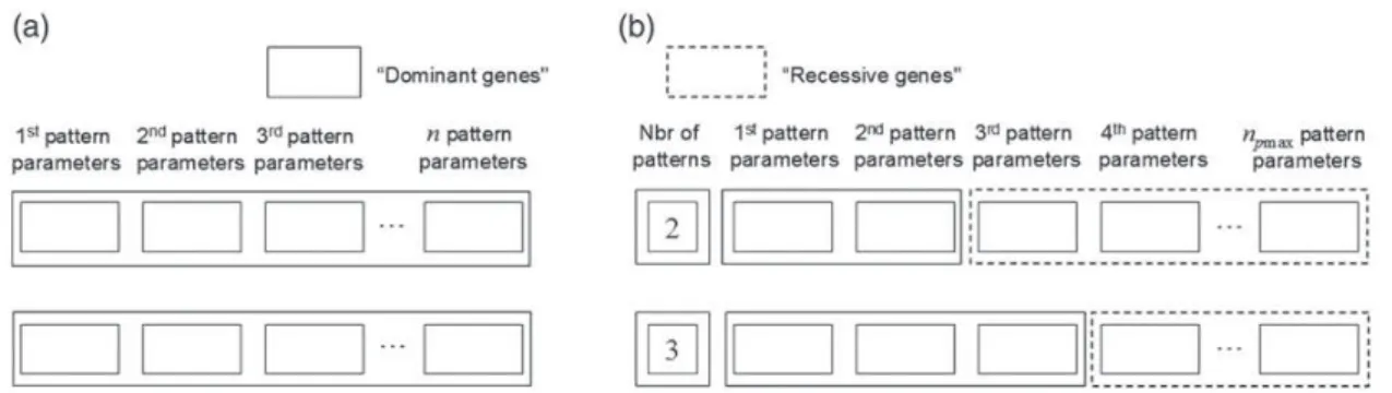 Figure 2. Individual genotype according to the chromosome encoding strategy: (a) with fixed (n) and (b) variable (n 2 [1, n pmax ]) number of patterns.