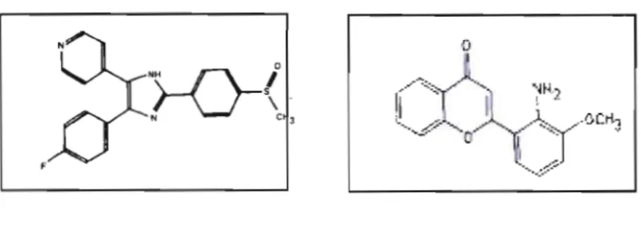 Figure 1.9  Structure d'un inhibiteur de p38 (SB203580) et d'un inhibiteur  de  la  voie  de  MEKl/2  (PD980S9)
