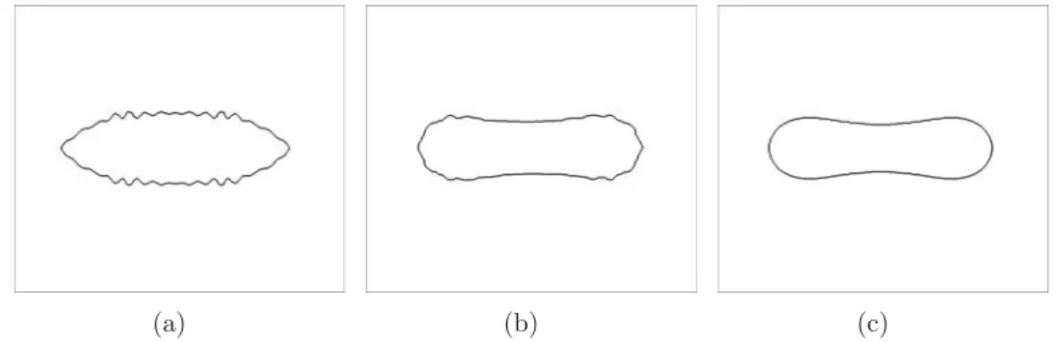 Fig. 3.10 - Forme d’une v´ esicule dont le laplacien surfacique de la courbure ( ∇ s 2 H) a