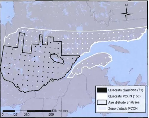 Figure  l,  Localisation  de  la  zone  d'étude  des  inventaires  héliportés  du  PCCN  contenant  156  quadrats  de  25  km 2  (5x5km) et de  l'aire d'étude des  analyses contenant 71  quadrats dans  le  Québec  forestier