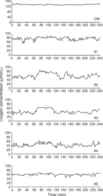 Fig. 2 Mean oxygen concentrations in free water and sedi- sedi-ments (0.5–3 mm distance from the interface) into the overlying water and the H
