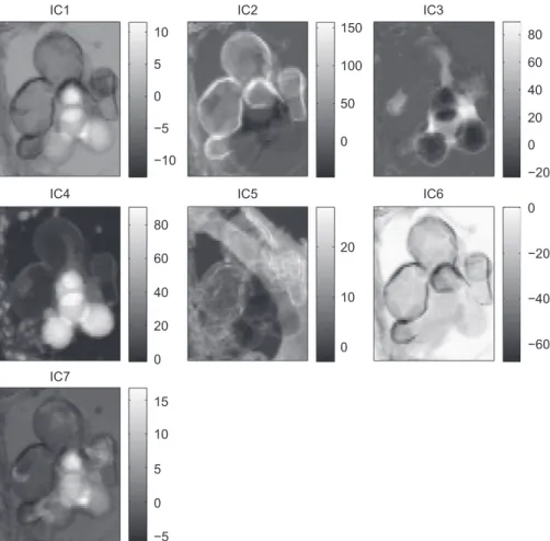 Fig. 7. Maps of the spectral components extracted by CubICA (the spectral signatures are depicted in Fig