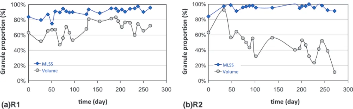 Fig. 3. Evolution of the proportion of granules in MLSS and in volume of the hybrid sludge in both reactors.