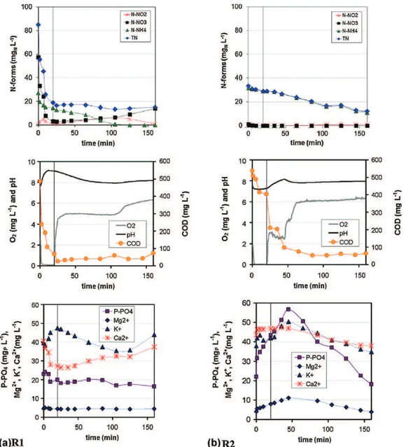 Fig. 6. Typical profile of soluble compounds in both reactors during a cycle study performed on day 167