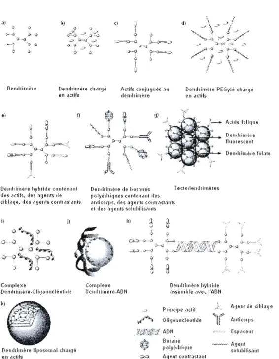 Figure  10.  Diagramme schématique montrant différents  conjugués dendritiques  employés  pour  le  traitement du  cancer (adapté de  la  réf